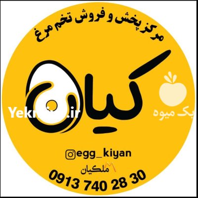 تخم بوقلمون خوراکی در اصفهان در گروه انواع تخم ها در یکمیوه -عکس1