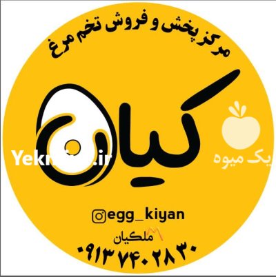 تخم مرغ محلی تخم مرغ سفید در اصفهان در گروه انواع تخم ها در یکمیوه -عکس1