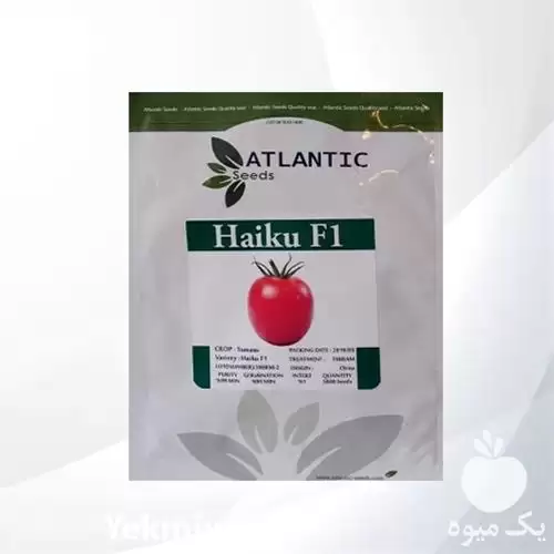 قیمت خرید بذر گوجه فرنگی هایکو در تهران در گروه خرید و فروش بذر گوجه در یکمیوه -عکس1