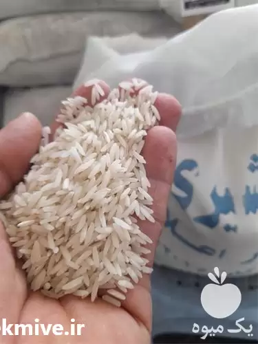 قیمت خرید برنج هاشمی سفارشی در گرگان در گروه خرید و فروش برنج در یکمیوه -عکس1