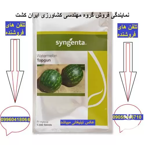 قیمت خرید بذر هندوانه خطی تاپ در گروه خرید و فروش بذر هندوانه در یکمیوه -عکس1