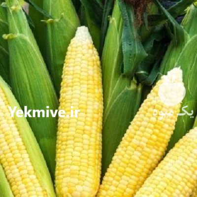 فروش بذر ذرت تارگت سینجنتا در اهواز در گروه خرید و فروش بذر ذرت در یکمیوه -عکس1