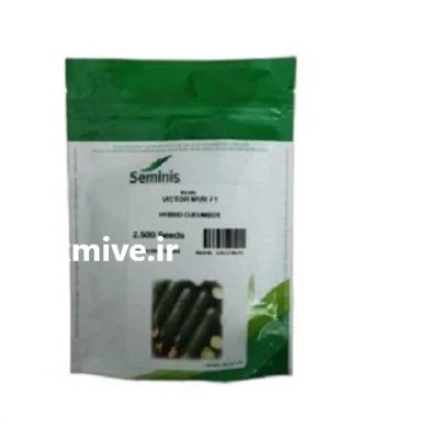 فروش بذر خیار ویکتور سمینیس پاکتی در اهواز در گروه خرید و فروش بذر خیار در یکمیوه -عکس1
