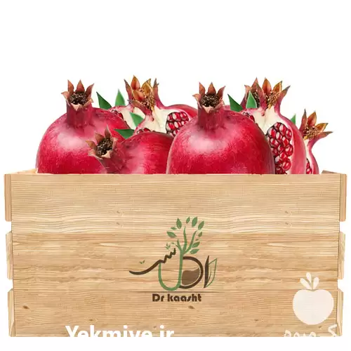 قیمت خرید عمده نهال انار بی در ارومیه در گروه خرید و فروش نهال انار در یکمیوه -عکس1