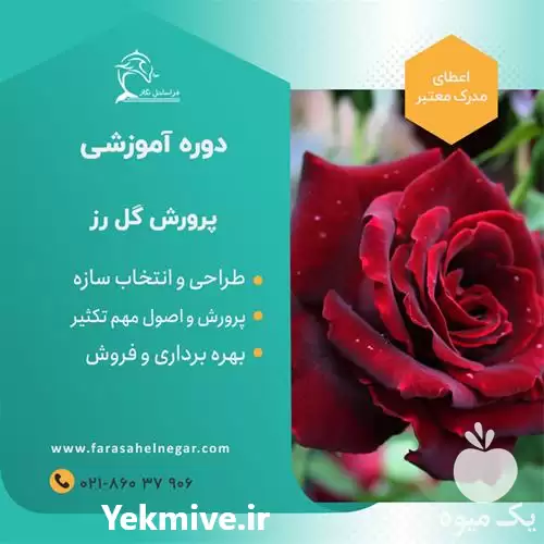 فروش دوره آموزشی گل های شاخه در گروه دوره آموزش کشاورزی در یکمیوه -عکس1