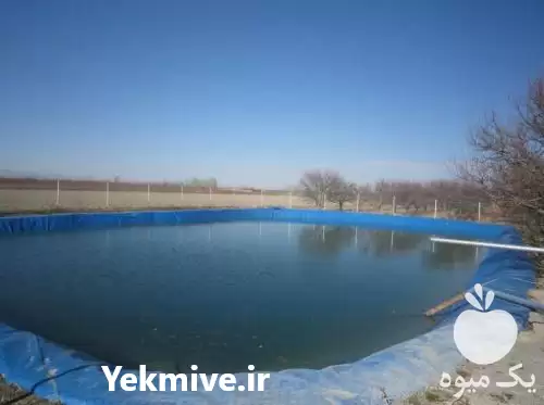 فروش ساخت استخر های پلیمری ژئوممبران در تهران در گروه خرید و فروش ژئوممبران و ژئوتکستایل در یکمیوه -عکس1