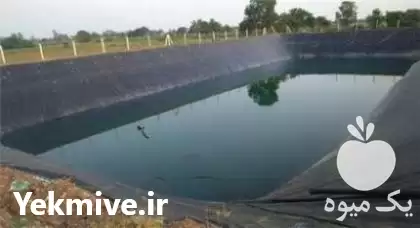 قیمت خرید ورق ژئوممبران در تمامی در گروه خرید و فروش ژئوممبران و ژئوتکستایل در یکمیوه -عکس1