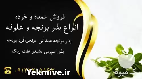 فروش بهترین ارقام بذر یونجه در تبریز در گروه خرید و فروش بذر یونجه در یکمیوه -عکس1