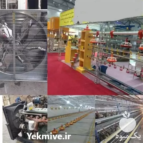 فروش قفس سه طبقه مرغ در کرمان  در گروه تجهیزات مرغداری در یکمیوه -عکس1