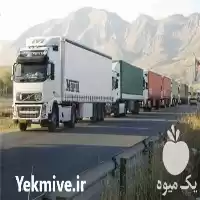 ترخیص کالا دامداری صادرات در گروه ترخیص کالا در یکمیوه