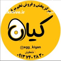تخم مرغ محلی تخم مرغ سفید در اصفهان در گروه انواع تخم ها در یکمیوه