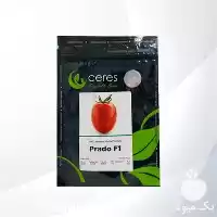 قیمت خرید بذر گوجه پرادو بذر در گروه خرید و فروش بذر گوجه در یکمیوه