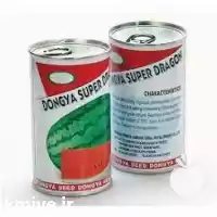 فروش بذر هندوانه دراگون از شرکت در گروه خرید و فروش بذر هندوانه در یکمیوه