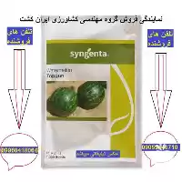 قیمت خرید بذر هندوانه خطی تاپ در گروه خرید و فروش بذر هندوانه در یکمیوه