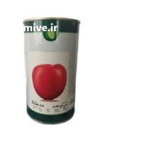 فروش بذر گوجه فرنگی سی اچ در اهواز در گروه خرید و فروش بذر گوجه در یکمیوه