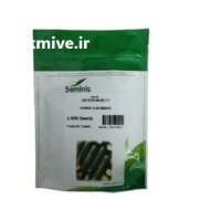 فروش بذر خیار ویکتور سمینیس پاکتی در اهواز در گروه خرید و فروش بذر خیار در یکمیوه