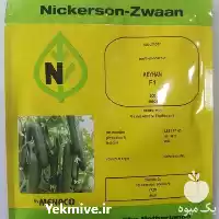 عرضه و فروش بذر خیار کیهان در تهران در گروه خرید و فروش بذر خیار در یکمیوه