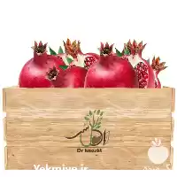 قیمت خرید عمده نهال انار بی در ارومیه در گروه خرید و فروش نهال انار در یکمیوه