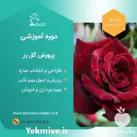 فروش دوره آموزشی گل های شاخه