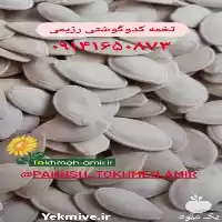 فروش تخنه کدو گوشتی رژیمی در کرج در گروه خرید و فروش انواع تخمه در یکمیوه