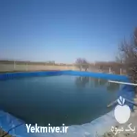 فروش ساخت استخر های پلیمری ژئوممبران در تهران در گروه خرید و فروش ژئوممبران و ژئوتکستایل در یکمیوه