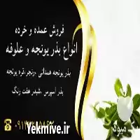فروش بهترین ارقام بذر یونجه در تبریز در گروه خرید و فروش بذر یونجه در یکمیوه