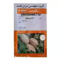 قیمت خرید بذر خربزه هیبرید جانا در شیراز در گروه خرید و فروش بذر خربزه در یکمیوه