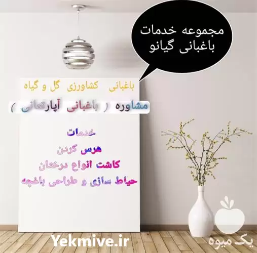 شرکت و مجموعه خدمات باغبانی در کرمان  در گروه خدمات باغبانی در یکمیوه -عکس1