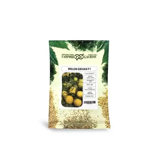 فروش بذر ملون گالیا اریوان در گروه خرید و فروش بذر ملون در یکمیوه -عکس1