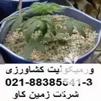 قیمت خرید ورمیکولیت کشاورزی باغبانی مناسب در تهران در گروه خرید و فروش انواع کود کشاورزی در یکمیوه