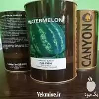 قیمت خرید قیمت بذر هندوانه فالکون در همدان در گروه خرید و فروش بذر هندوانه در یکمیوه