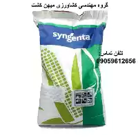 بذر ذرت دو منظوره دراخما در اهواز در گروه خرید و فروش بذر ذرت در یکمیوه