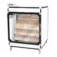 قیمت خرید دستگاه جوجه کشی 672 در رشت در گروه تجهیزات مرغداری در یکمیوه