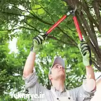 خدمات باغبانی درخت کاری چمن زنی در رشت در گروه خدمات باغبانی در یکمیوه