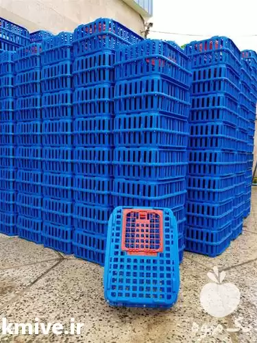 فروش سبد حمل مرغ زنده در اردبیل در گروه خرید و فروش انواع سبد در یکمیوه -عکس1