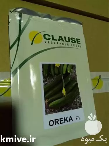قیمت خرید قیمت بذر خیار اورکا در یزد در گروه خرید و فروش بذر خیار در یکمیوه -عکس1