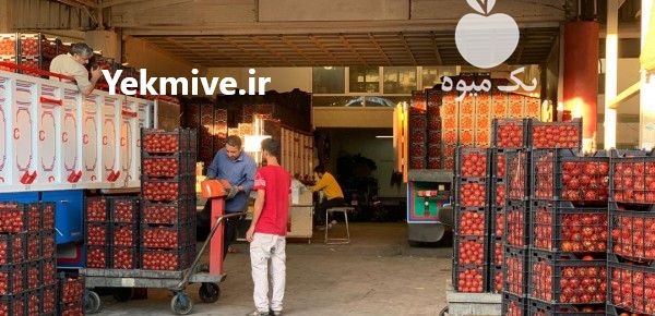 حمل و نقل و باربری قزوین در گروه حمل و نقل در یکمیوه -عکس1