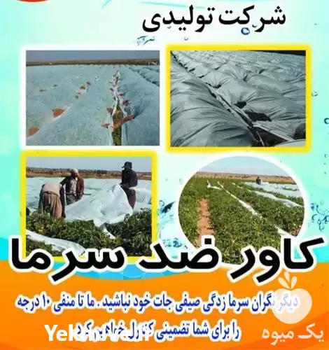 فروش کاور ضد سرما در شیراز در گروه خرید و فروش توری گلخانه در یکمیوه -عکس1