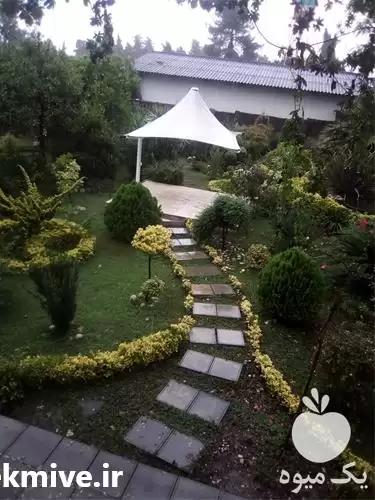 خدمات باغبانی در گروه خدمات باغبانی در یکمیوه -عکس1