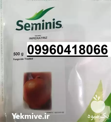 فروش بذر پیاز زرد روز کوتاه در گروه خرید و فروش بذر پیاز در یکمیوه -عکس1