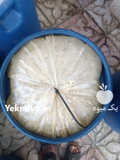 لیموترش Fresh lemonade در شیراز در گروه خرید و فروش لیمو ترش در یکمیوه -عکس1