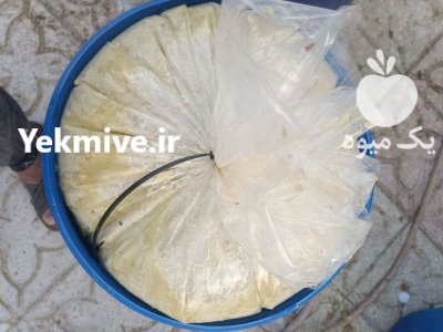 لرد تازه لیموترش در شیراز در فارس در گروه خرید و فروش لیمو ترش در یکمیوه -عکس1