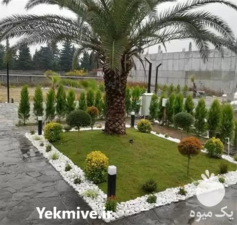 گل کاری و باغبانی در ساری در گروه خدمات باغبانی در یکمیوه -عکس1