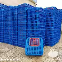 فروش سبد حمل مرغ زنده در اردبیل در گروه خرید و فروش انواع سبد در یکمیوه