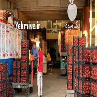 حمل و نقل و باربری قزوین در گروه حمل و نقل در یکمیوه