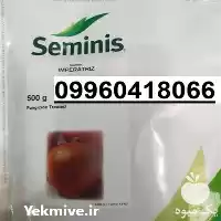 فروش بذر پیاز زرد روز کوتاه در گروه خرید و فروش بذر پیاز در یکمیوه