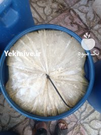 لیموترش Fresh lemonade در شیراز در گروه خرید و فروش لیمو ترش در یکمیوه