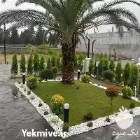 گل کاری و باغبانی در ساری در گروه خدمات باغبانی در یکمیوه