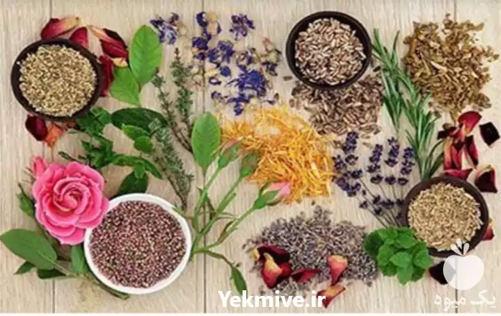 آموزش گیاهان دارویی در گروه دوره آموزش کشاورزی در یکمیوه -عکس1