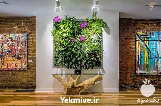 گرین وال رزوال دیوار سبز مصنوعی در گروه سازنده در یکمیوه -عکس1